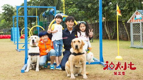 神犬小七主演员表,众星云集，演绎忠诚与成长