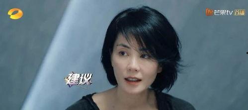 明星暂退娱乐圈,明星集体暂退，幕后真相揭秘